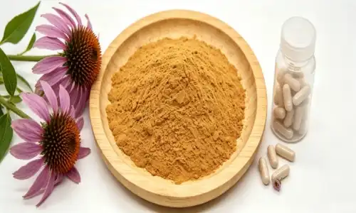 What Are the Main Uses of Echinacea Purpurea Powder in Supplements?